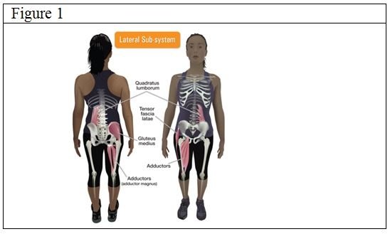 lateral subsystem