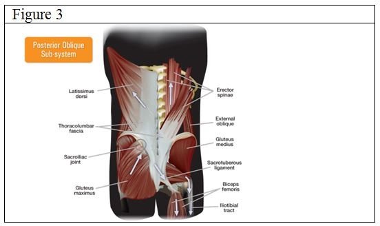 posterior oblique