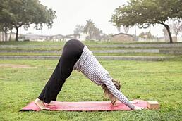 Downward Facing Dog