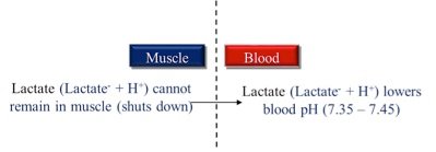 Fig 1.1
