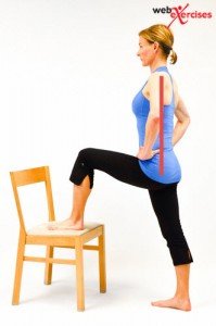 Hip flexor_1