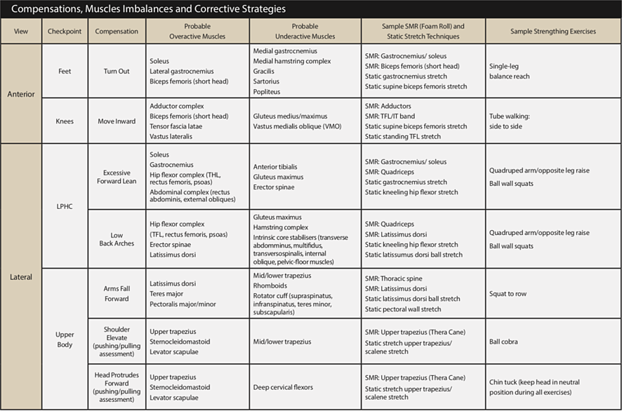 OHS Compensations, Muscle Imbalances, and Corrective Strategies