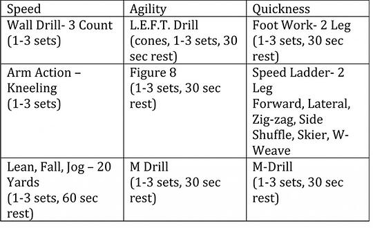 Microsoft Word - SAQ Grid.doc