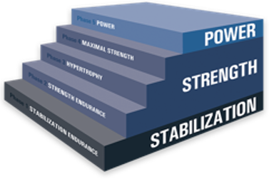 OPT Model