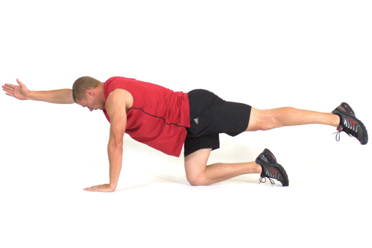 Quadruped Hip Extension - Arm Forward
