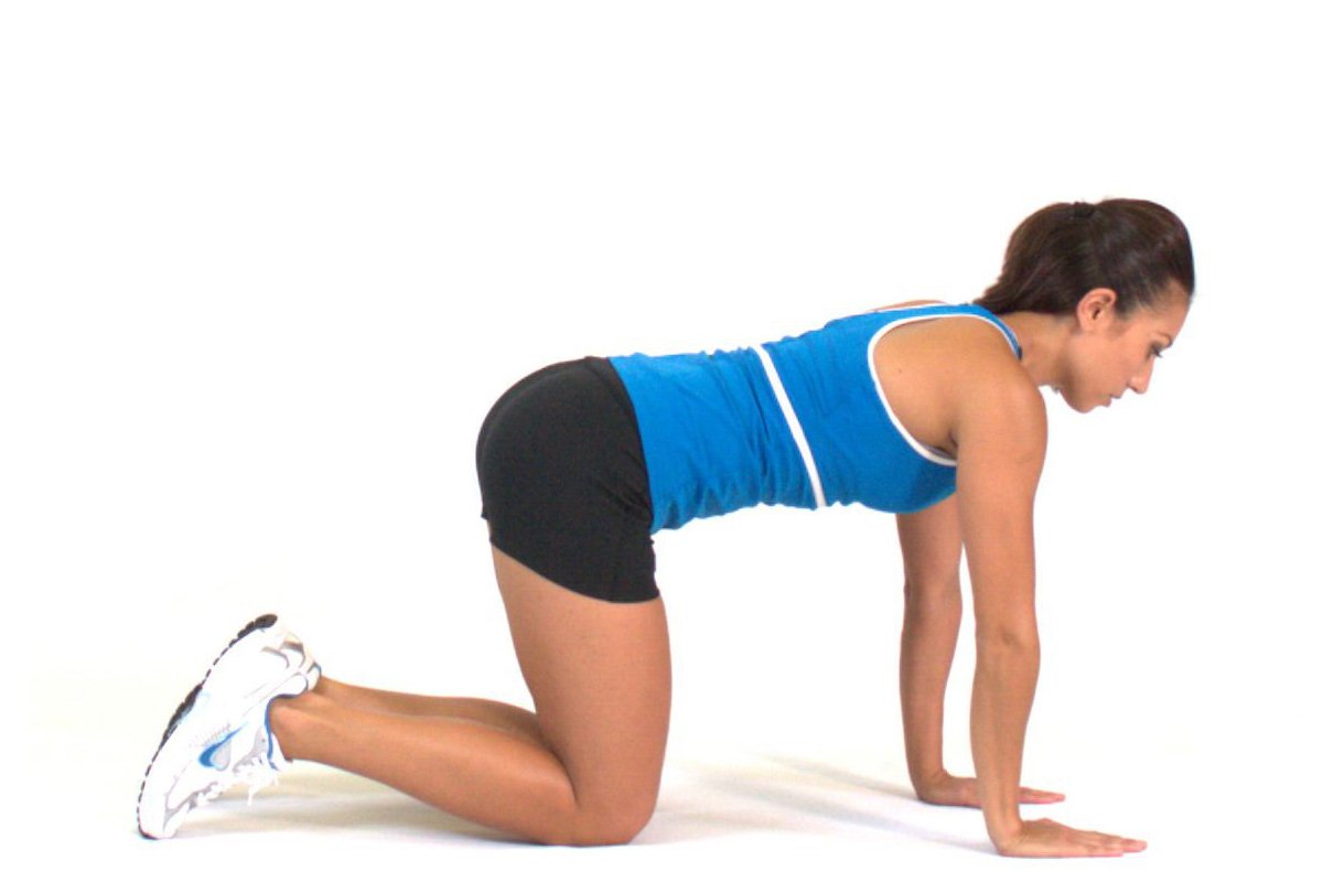 quadruped stretching