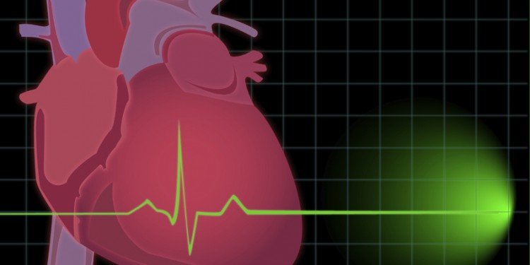 Heart-iStock_000001046358_Medium-SIZED-750x375