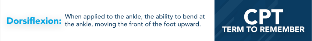 an eplanation of dorsiflexion