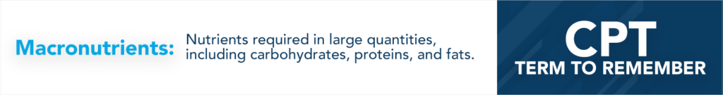 Macronutrients