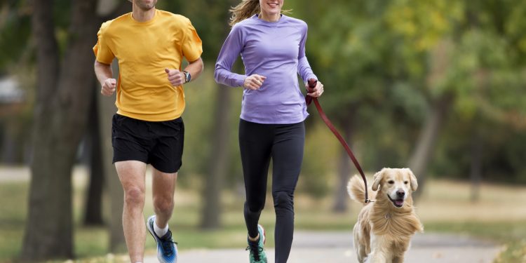 iStock_000021896598_Medium-750x375