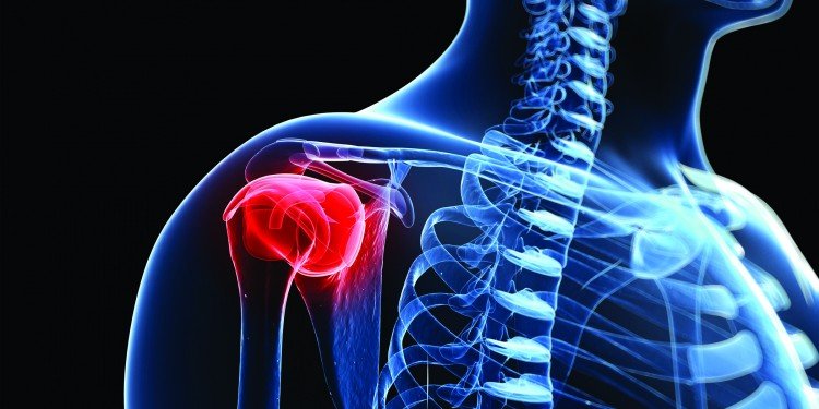 rotator cuff